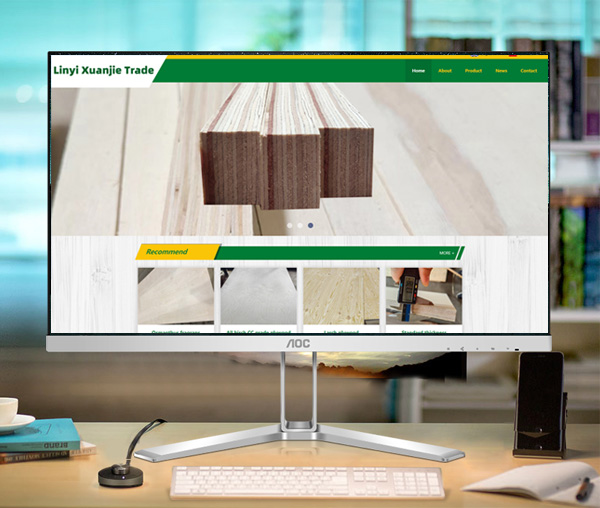網(wǎng)站建設案例